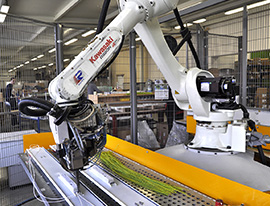 KAWASAKI connection robot