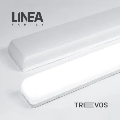 LINEA