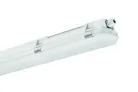 NANOTTICA MAX BASIC