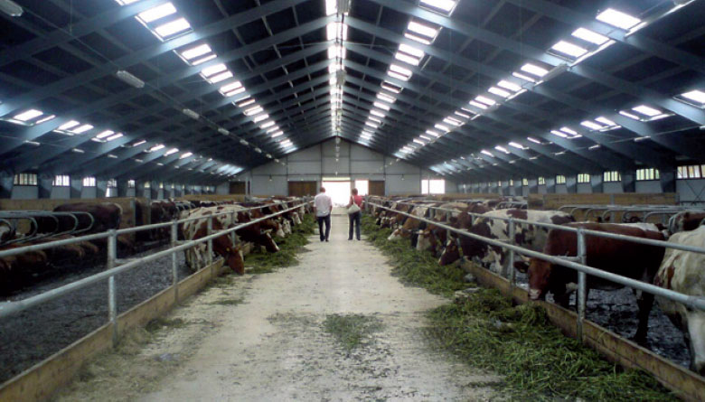 Sensitive lighting solutions for stables