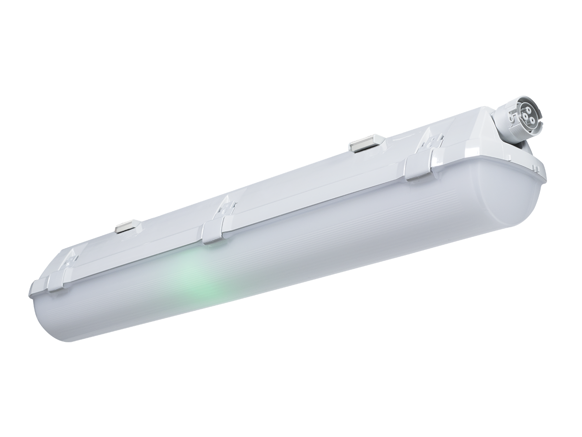 PRIMA LED NM