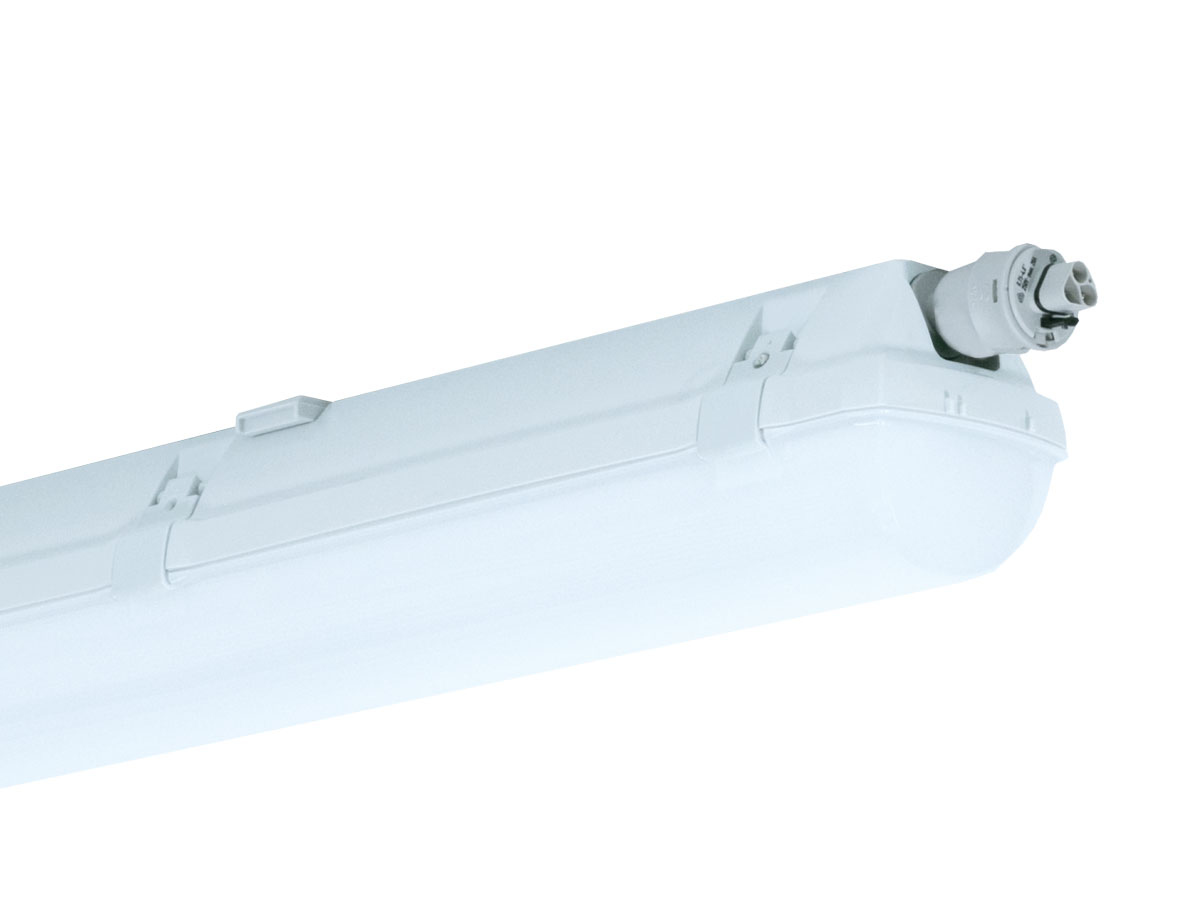 PRIMA LED CLASS II