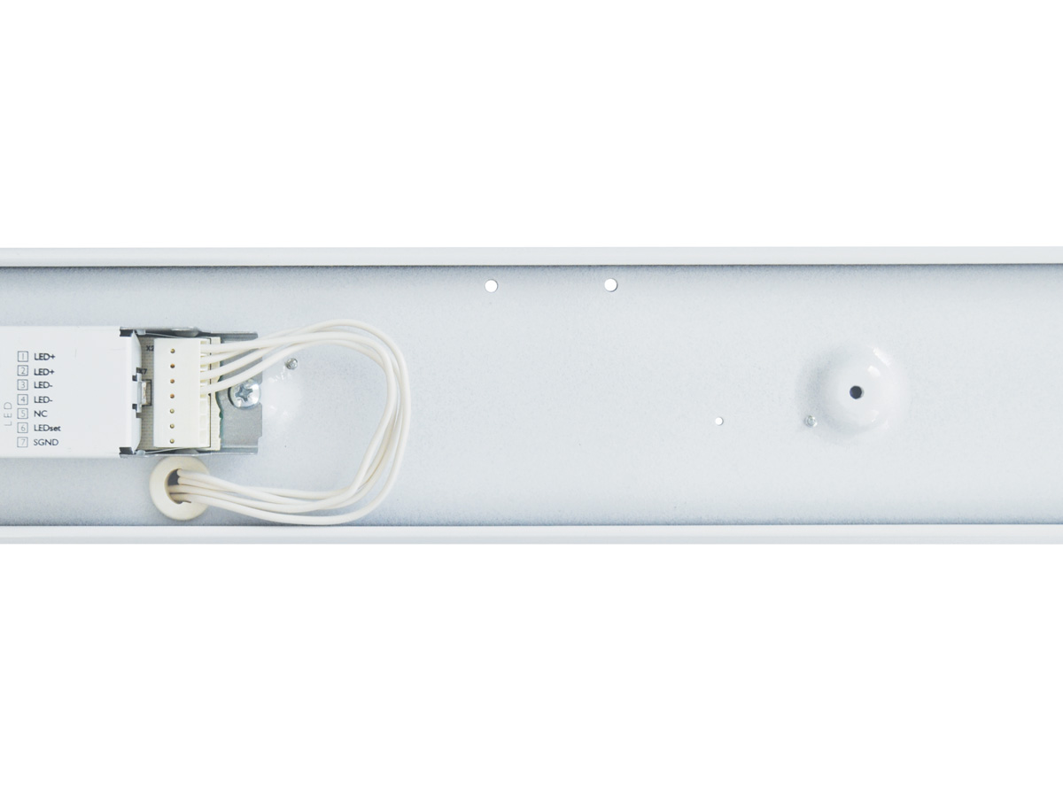 PRIMA LED (BASIC)